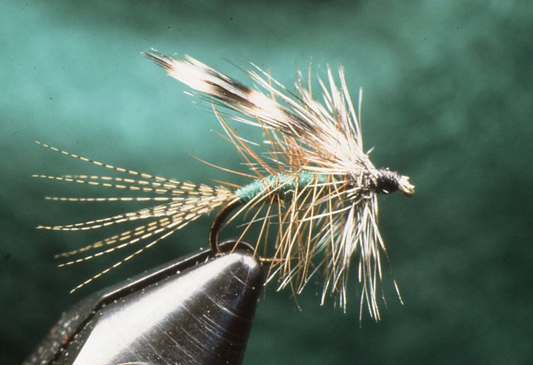 Holding a fly with pliers