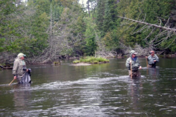 Cleaning our river