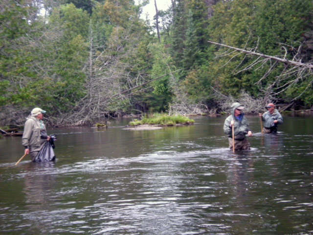 Cleaning our river